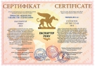 Компания «Термолайф» получила почетное звания «Экспортер года» во всеукраинском внешнеэкономическом рейтинге