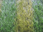 Синтетическая трава Avanturf